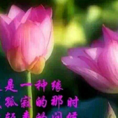 平凡哥（正能量）