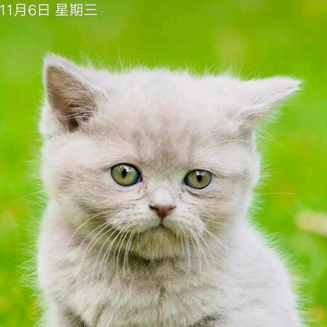 幸福！杨万昌