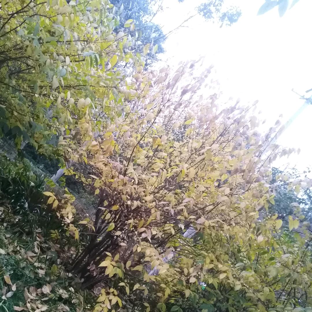 🐯小宝