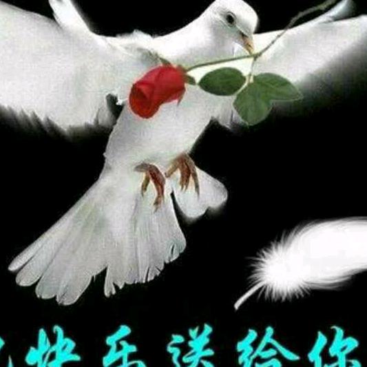 《欣🦅月之舟》