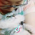 忆鱼儿～