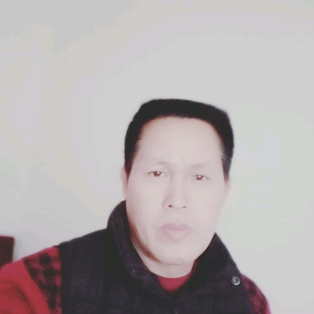 乐视哥哥