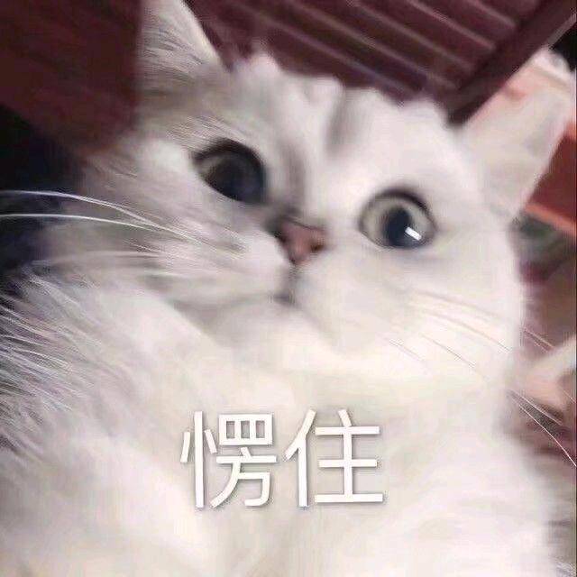 附庸｜剪辑✨