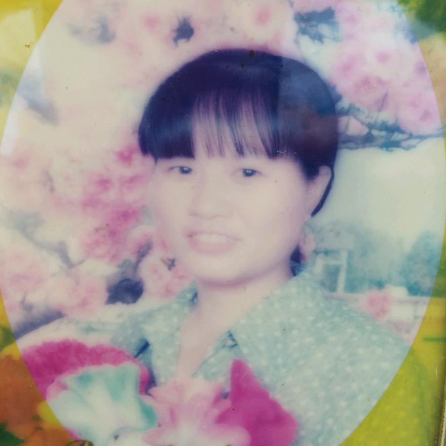 张树娇
