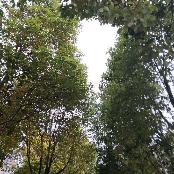 用户6852266543166