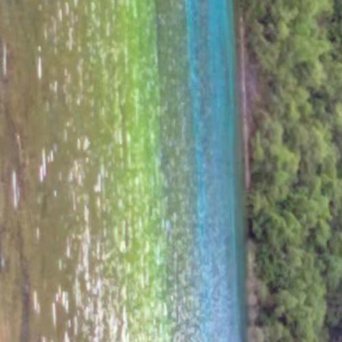 🐠得水