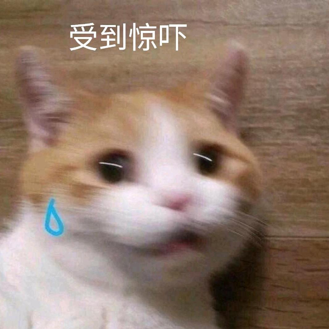 是只泗淼