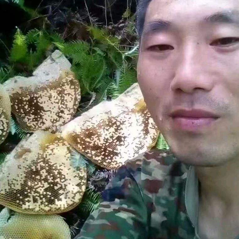 瞄蜂达人诱蜂找蜂教学