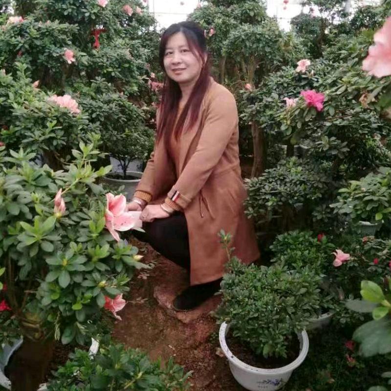 秋风飘过