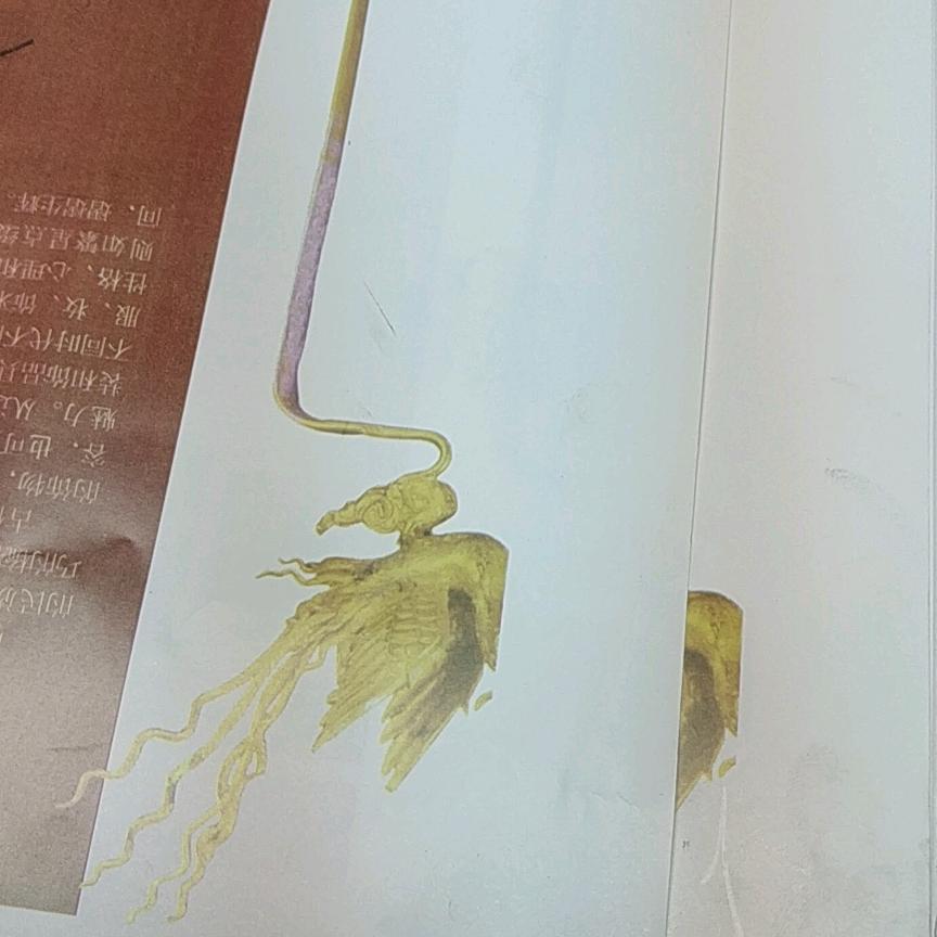 龙王