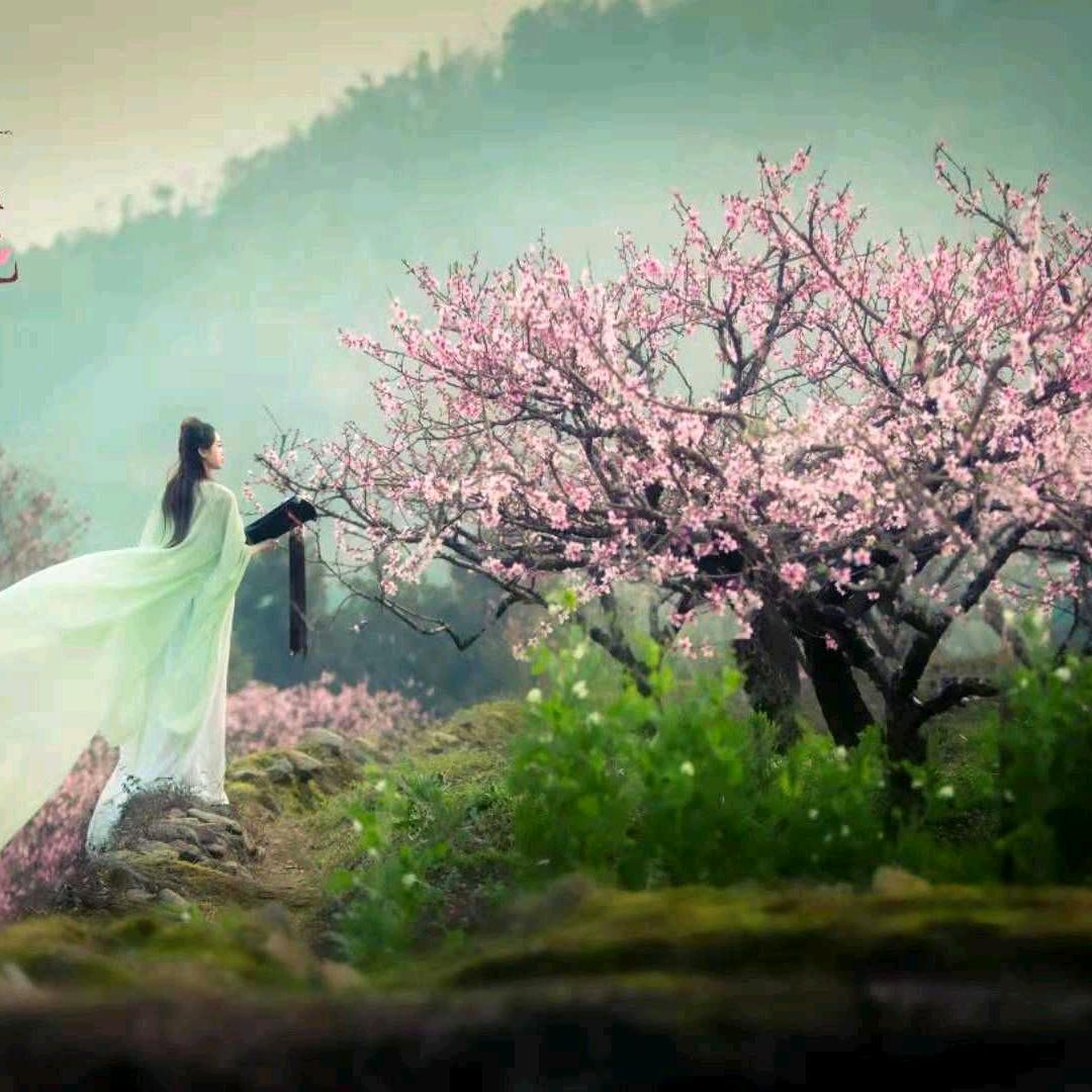 洛格