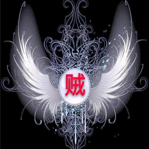 有文化的贼