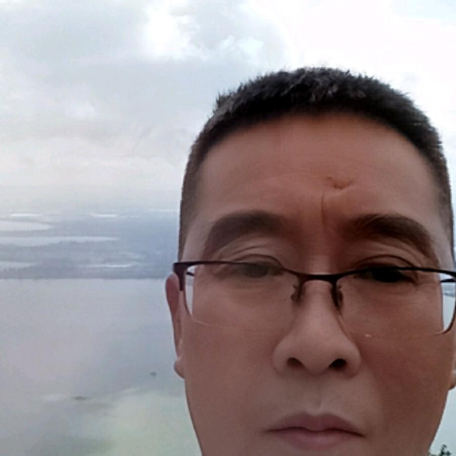 红豆杉回族