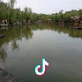科柯