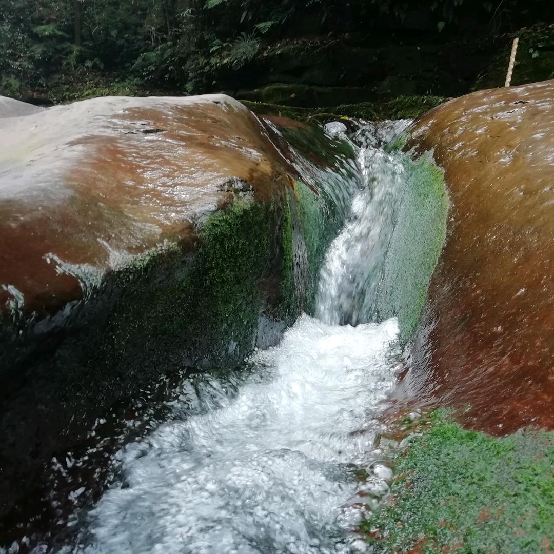 恒通驾校，教务校长廖老师