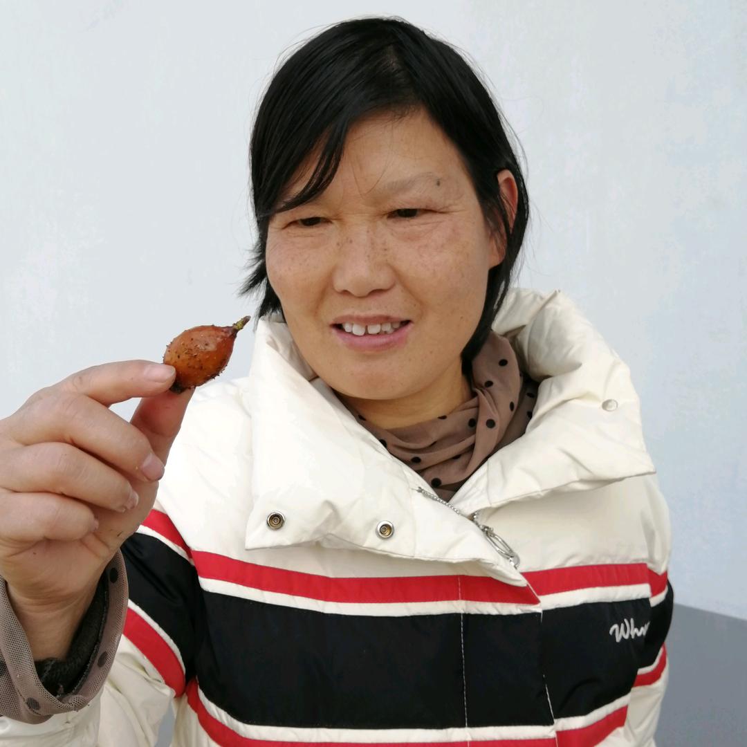 金樱子舒姨
