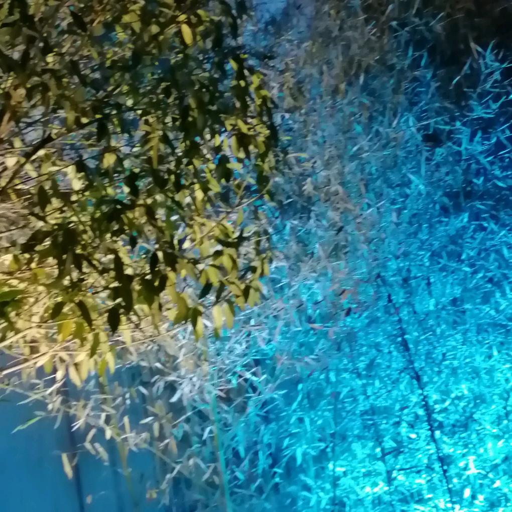 罗山西亚电器