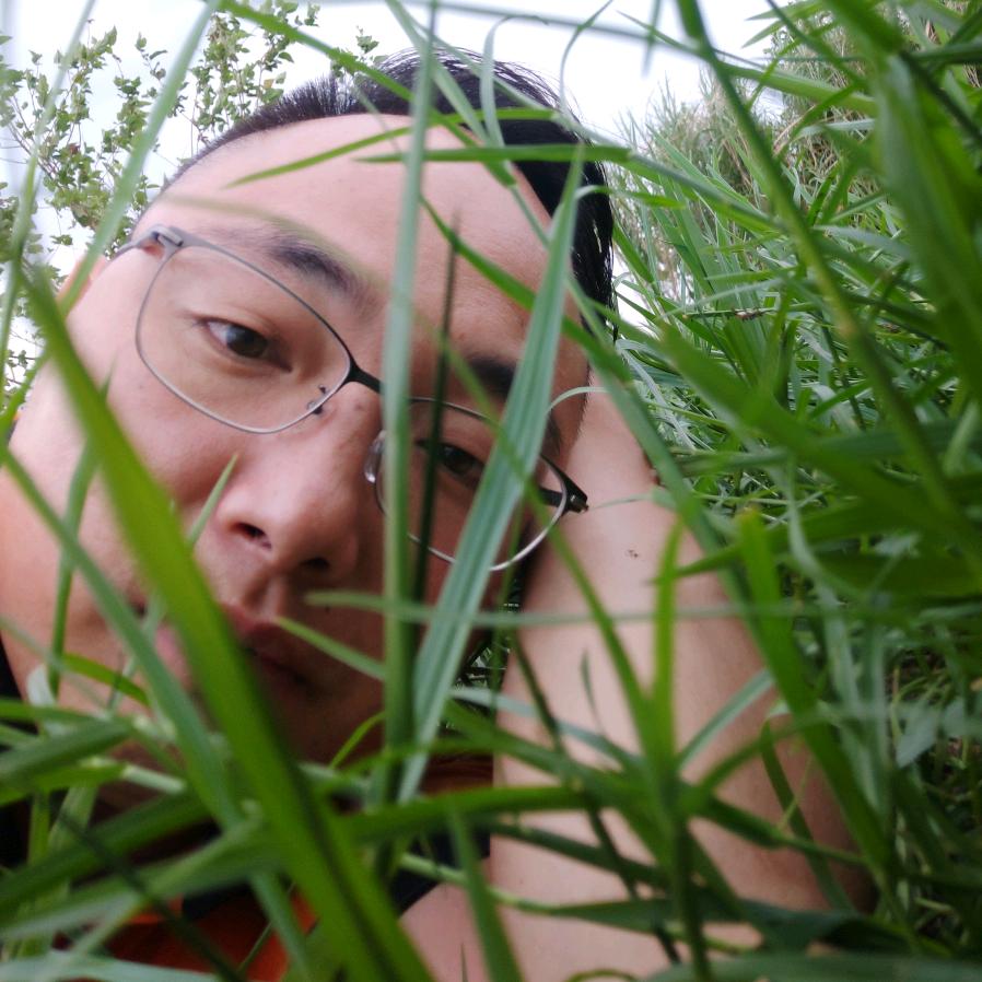 毛利