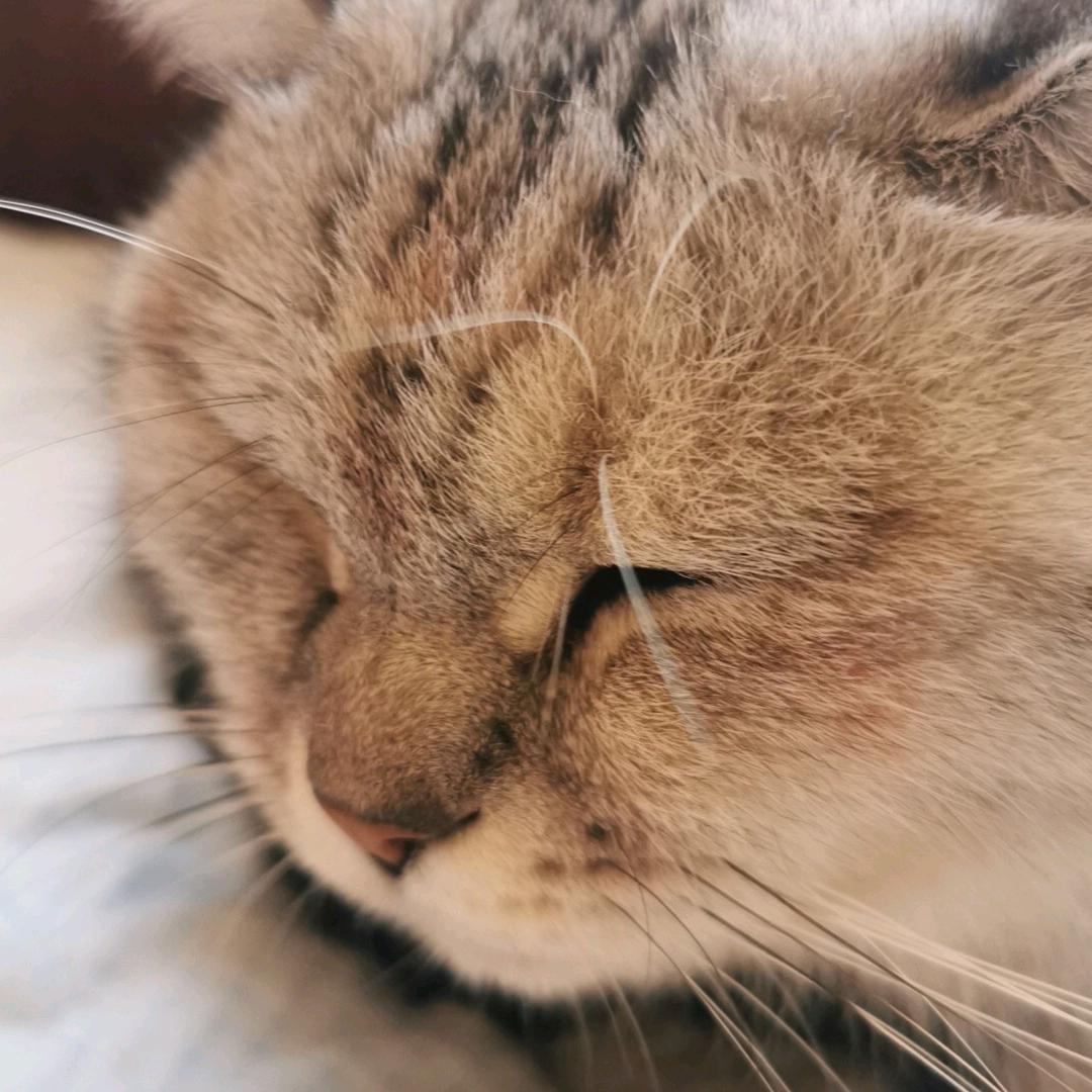 ☀️太阳☀️