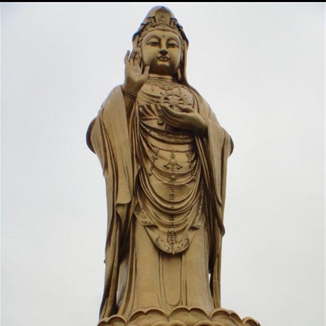 🌻丹丹🌻