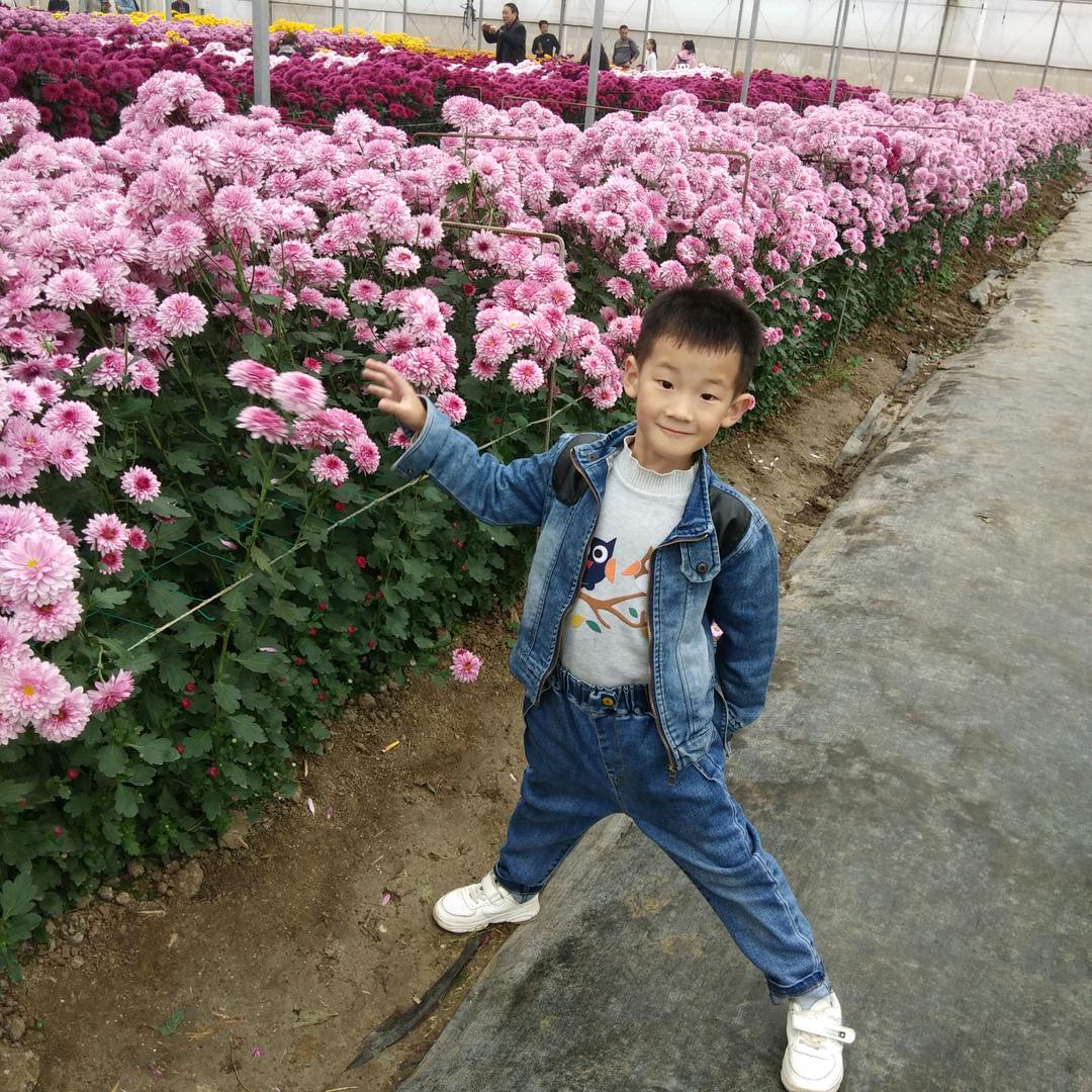 云里看花