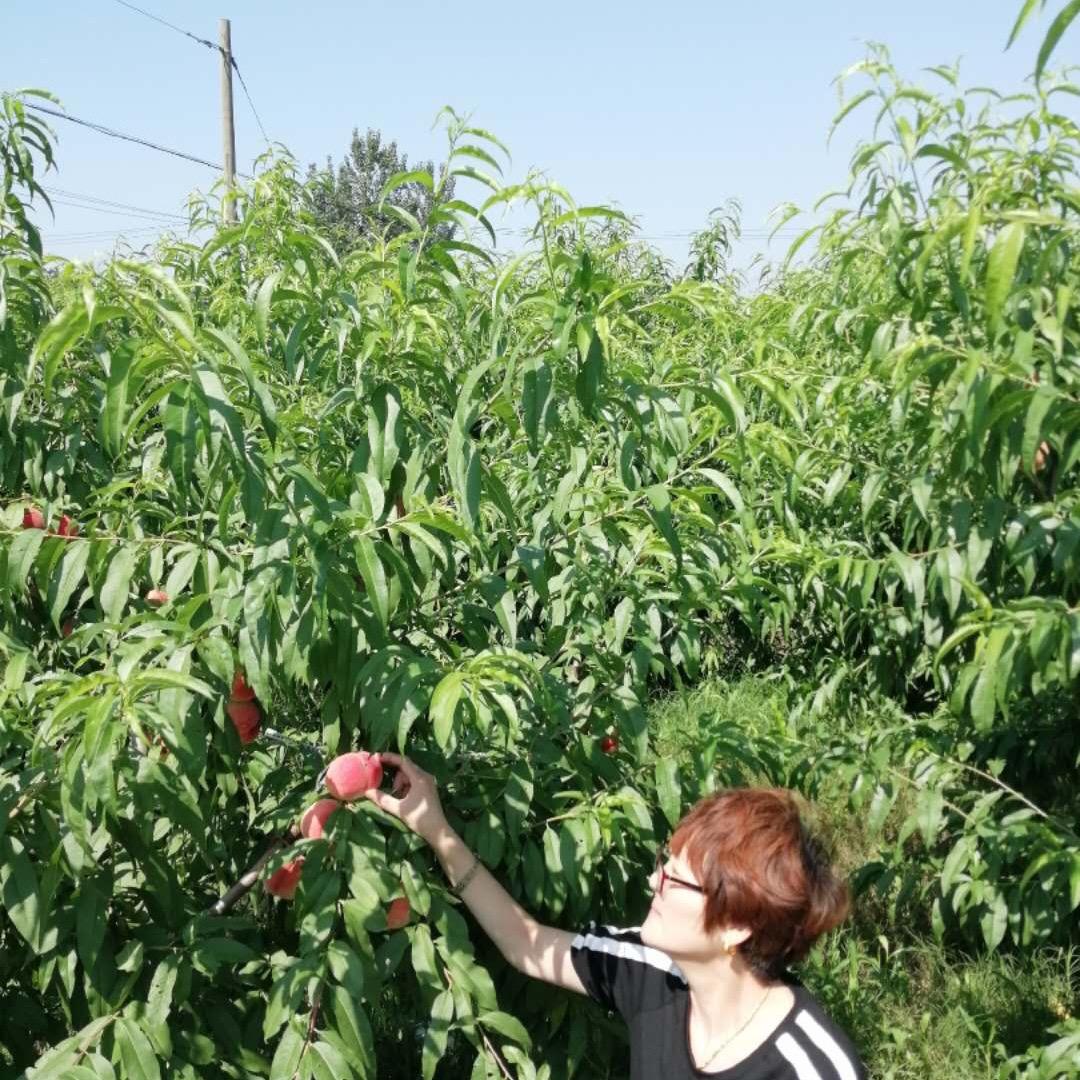 丽然