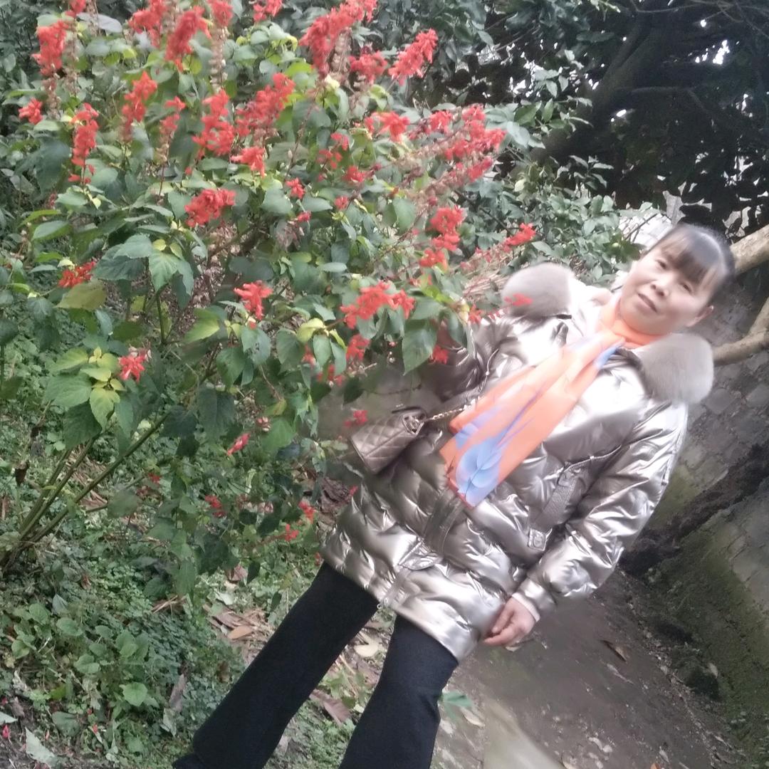 萍姐
