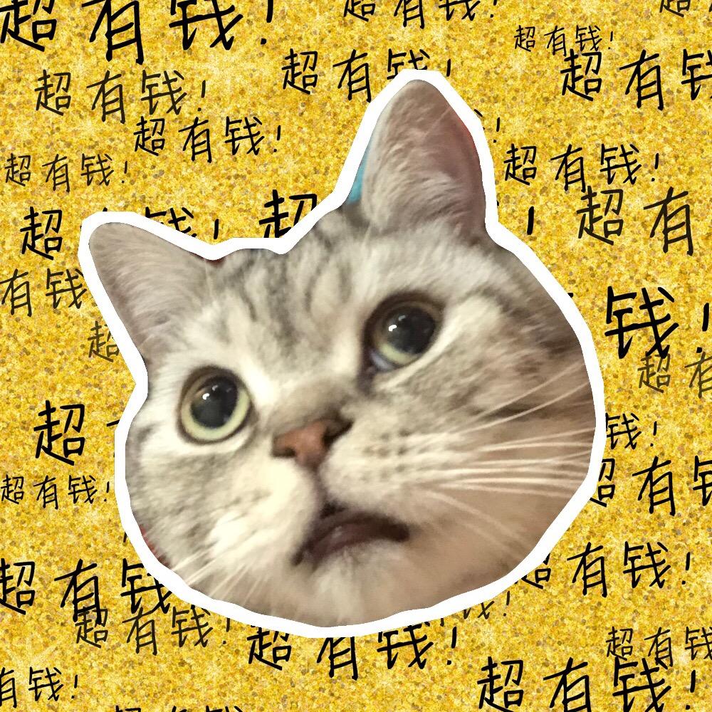 一只憨憨小虎