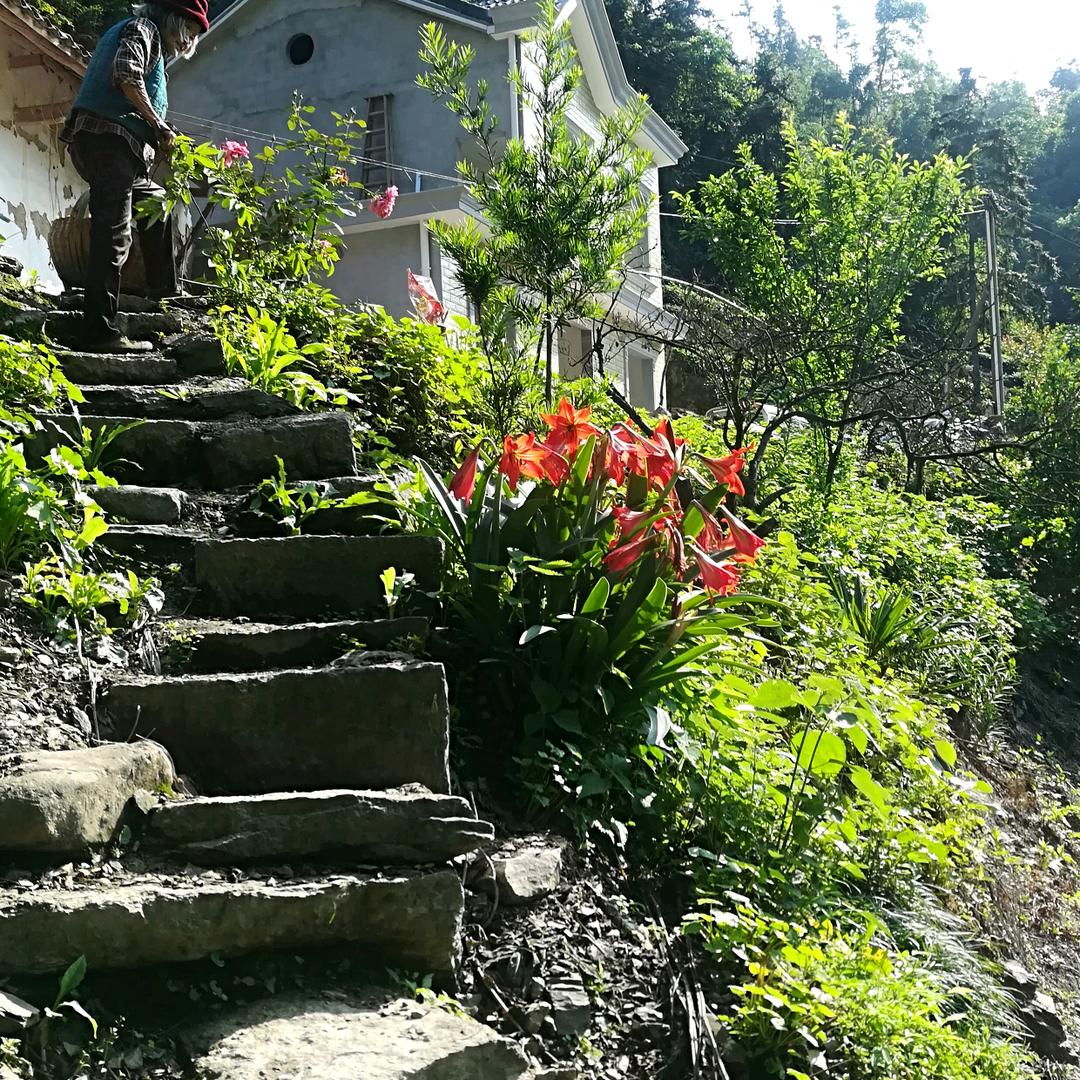 向王桶