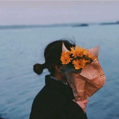 捂风挽笑