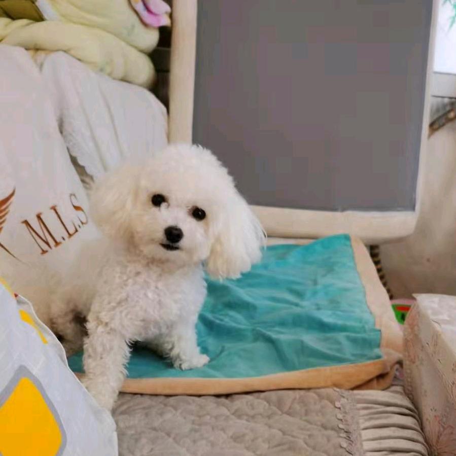 梅田