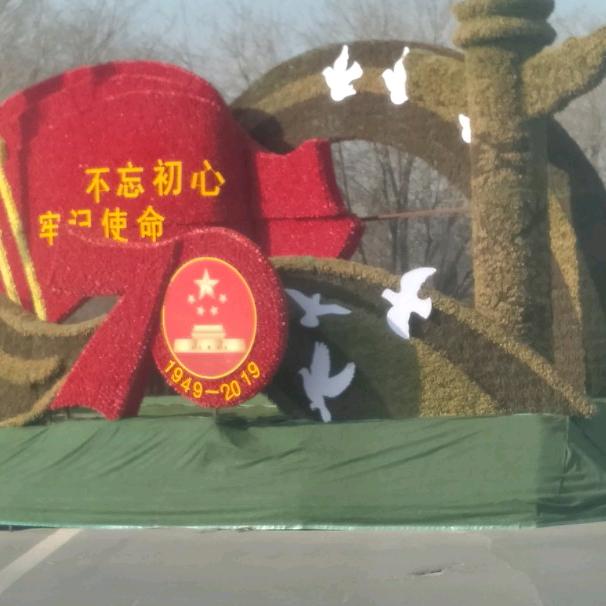 苍龙卧虎