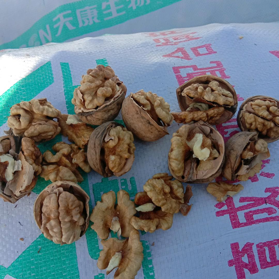 一剪梅