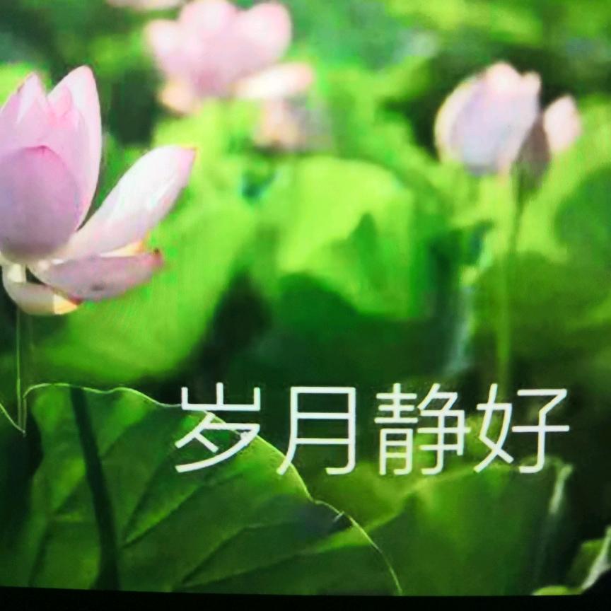 思念的痛