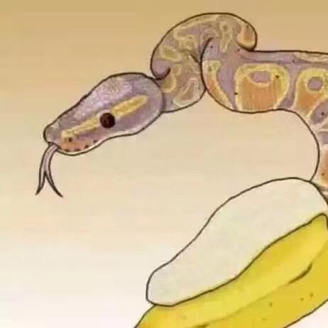 异宠医生老刘