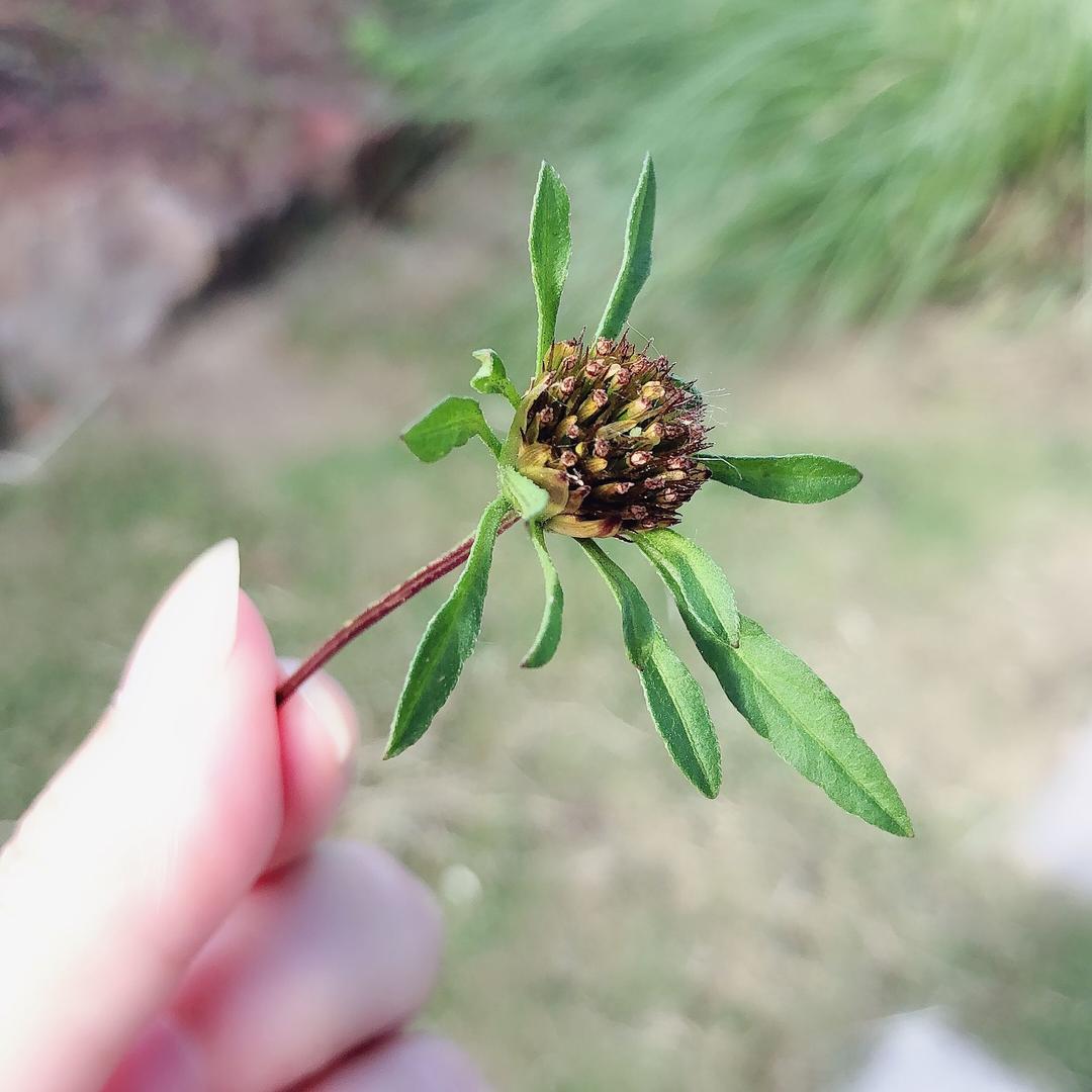 时光～清浅