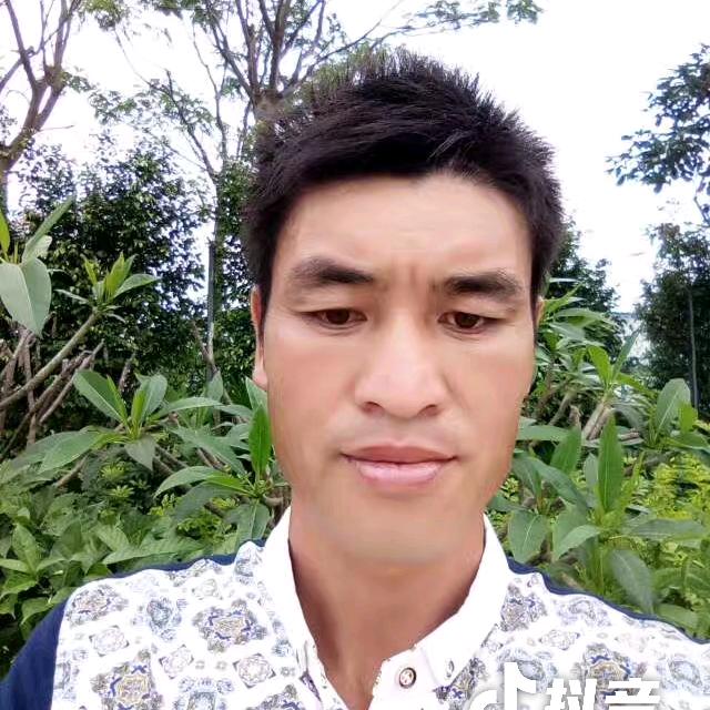 天天在