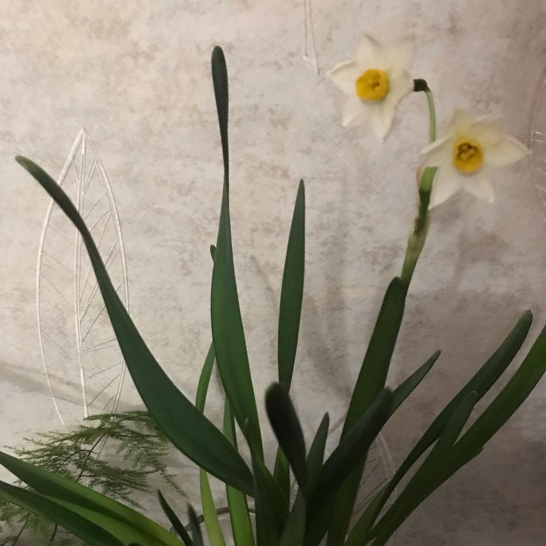 静静