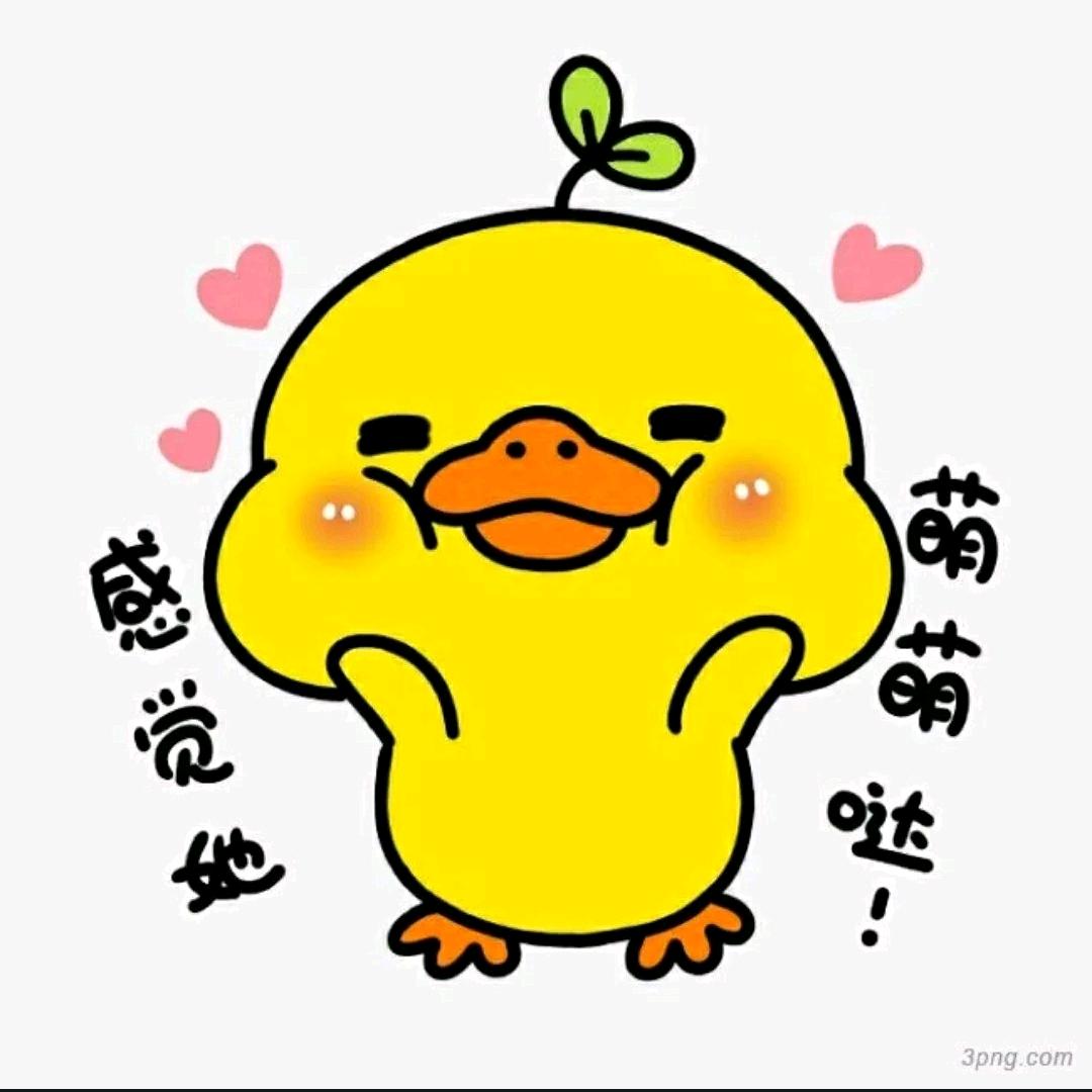 世界和我陪着你