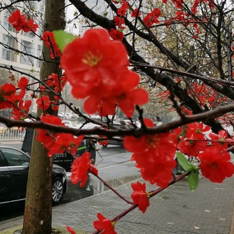 刘一凡