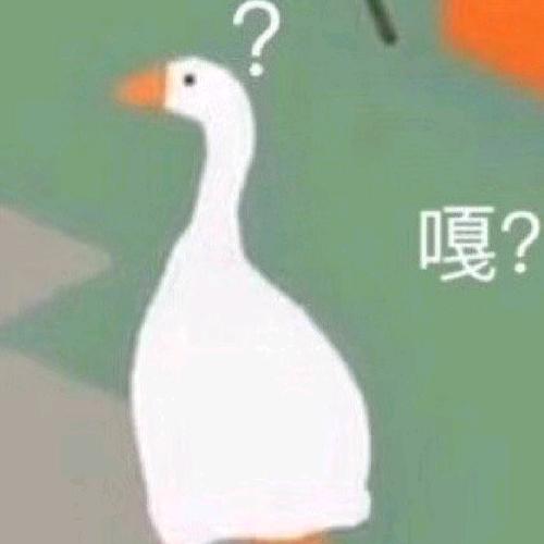 土豆仔仔呀