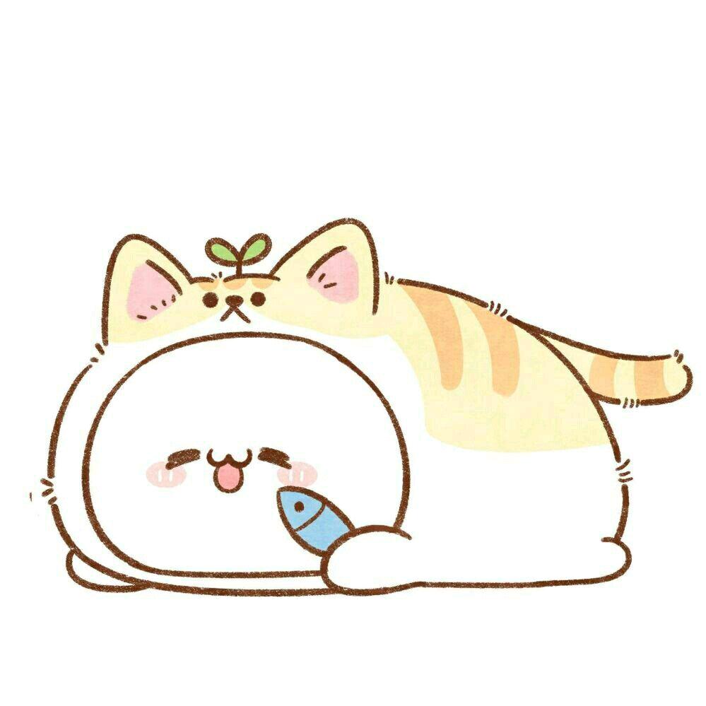 『小星星⭐️』