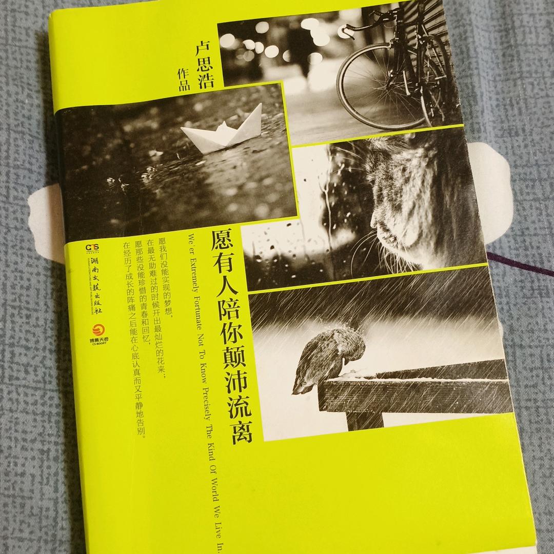 十一（鲸落太伟大，我扛不住了）