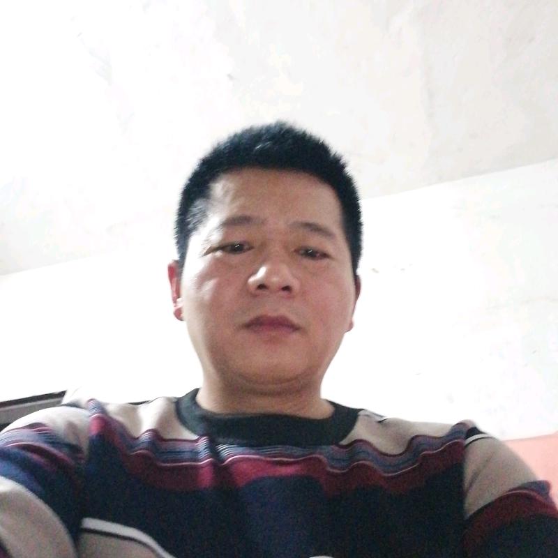 老贺