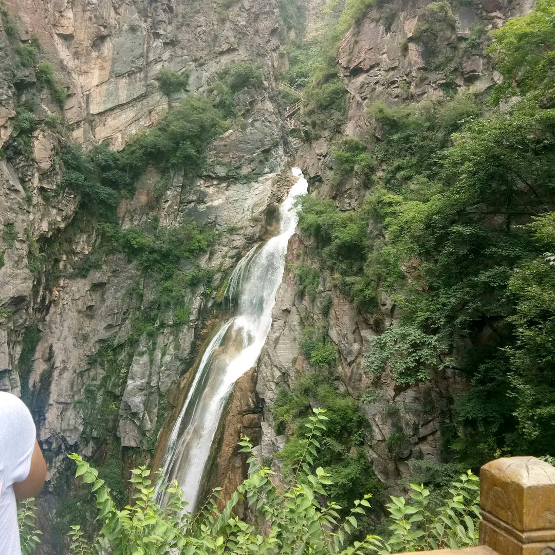 不变的心