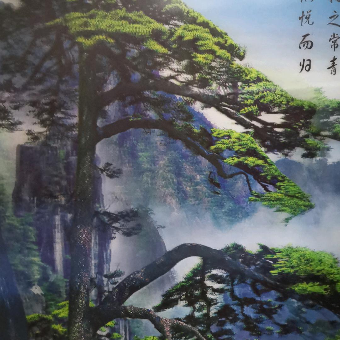 飞侠哥