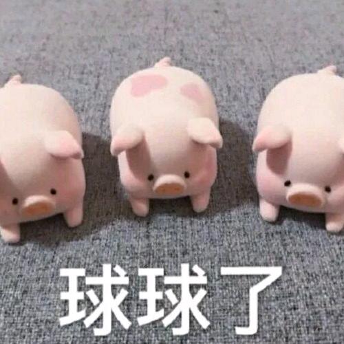 🐷开心肖肖乐