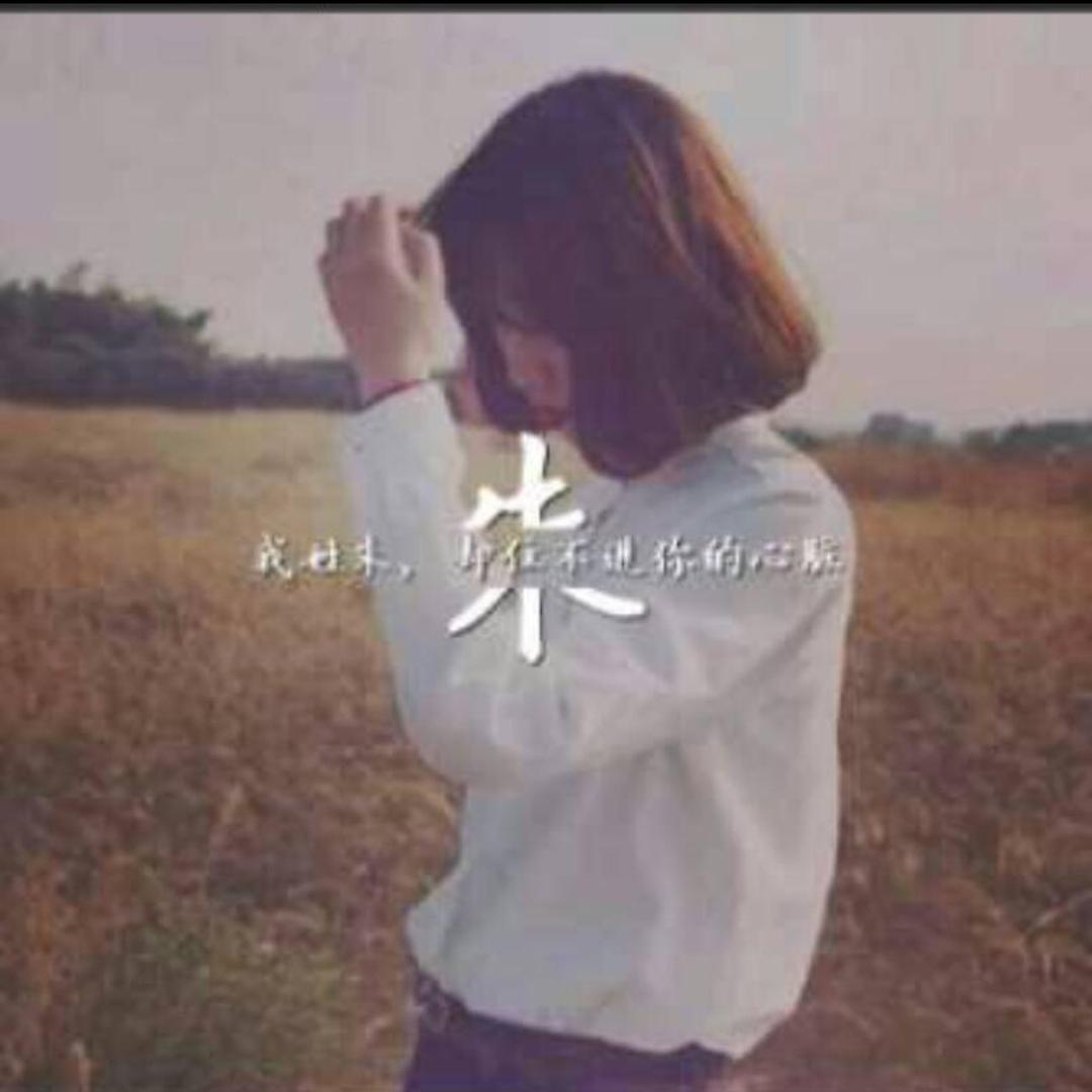 我姓朱，却住不进你心里的🐷