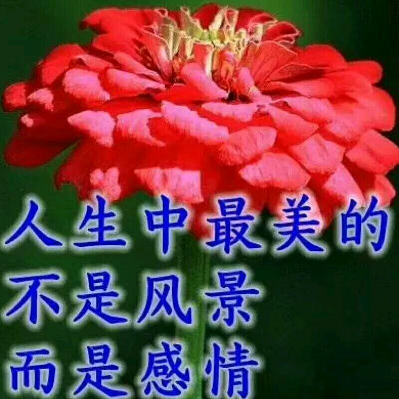 全家乐