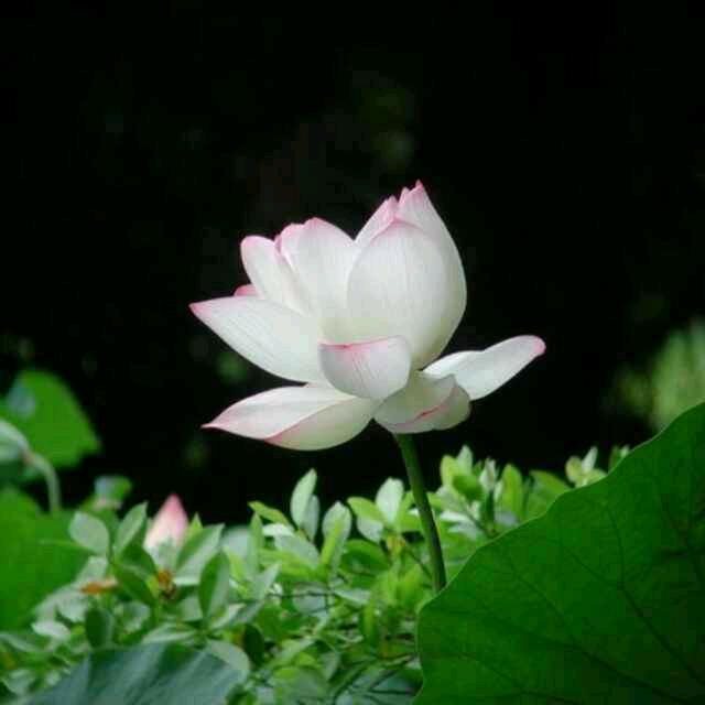 ℒᎭℯ⃝追梦人💞